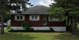 Rooms for rent near Algonquin College