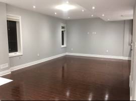 Beautiful WALKOUT For Rent