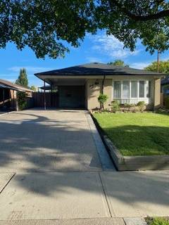 2 bedroom + living room basement apartment for rent in Etobicoke