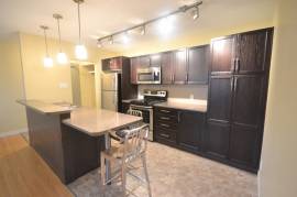 Remodeled 1BR  near Corydon & Osborne Village
