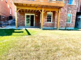 Markham Sunny Walkout Basement For Rent