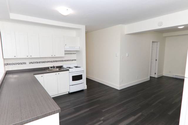 Place Lucy - One-Bedroom (3.5) Apartment for Rent