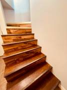 One bed one bath basement for rent