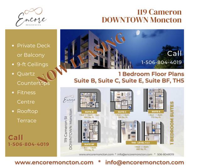 1 Bedroom Apartment