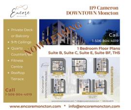 1 Bedroom Apartment