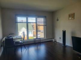 Looking for roommate.