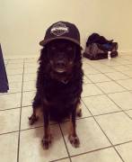 Seeking Roommate 20-30s to Share 2 bedroom apartment with