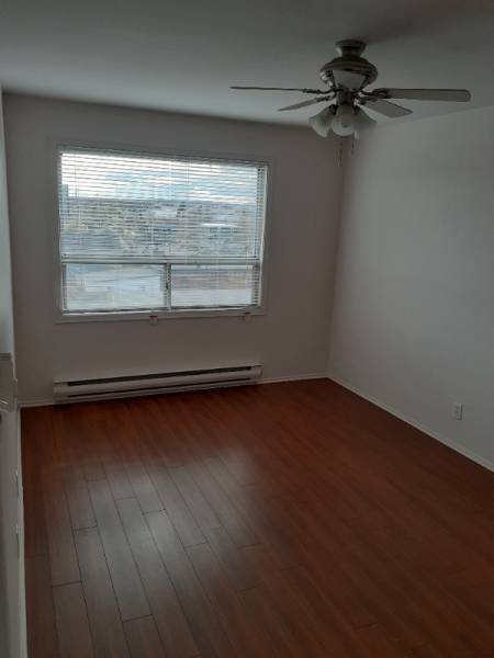 One Lucky roomate !! needed in a 2 bedroom apt