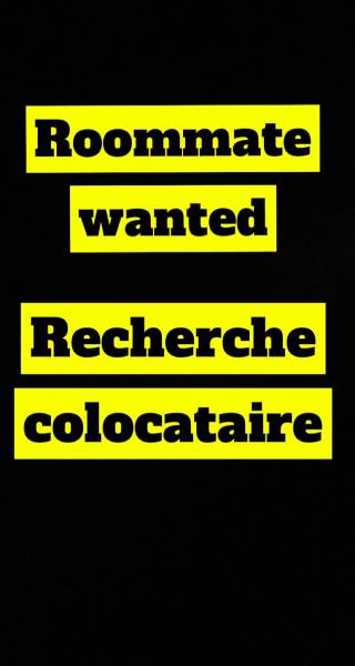Roommate wanted/ Colocataire recherché (e)