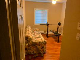 Room for rent male