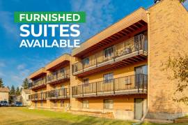 Bachelor Apartment, Newly Renovated, Near Lakeland College