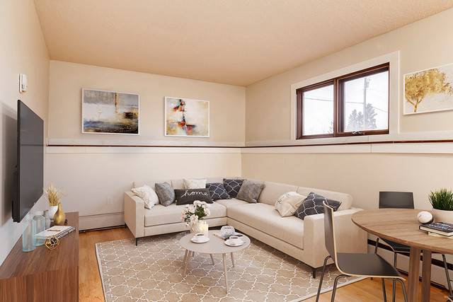Pet Friendly Apartment - 1 Bedroom