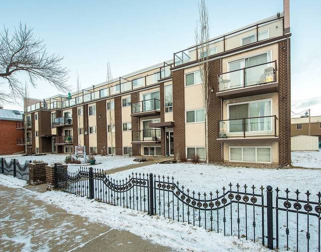 Pioneer Apartments - 1 Bedroom Apartment for Rent