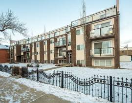 Pioneer Apartments - 1 Bedroom Apartment for Rent