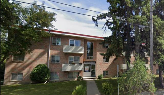 Charming 1 Bed 1 Bath Apartment in heart of DOWNTOWN Red Deer
