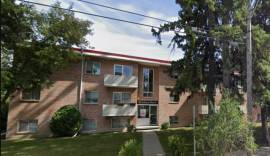 Charming 1 Bed 1 Bath Apartment in heart of DOWNTOWN Red Deer