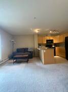 Westwood Terrace - JUNIPER Apartment for Rent