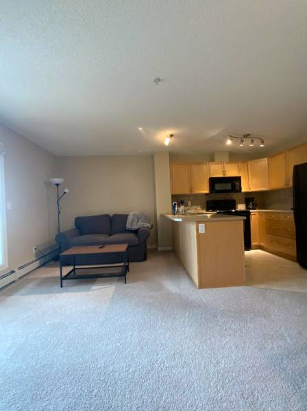 Westwood Terrace - JUNIPER Apartment for Rent