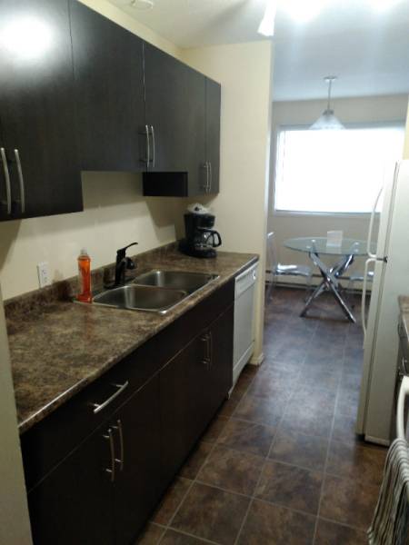 2bdr fully furnished apart: Just bring your suitcase, pets
