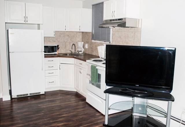 Newly Renovated/Furnished Bachelor Suite - Utilities Included!