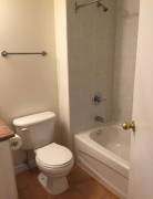 Room for rent on Clayton park for 750