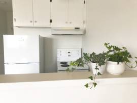 Furnished and Equipped 1 Bedroom Apartment in Charlottetown