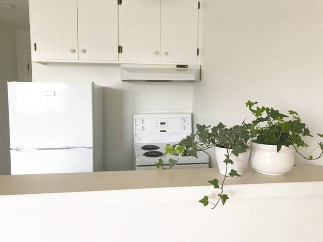 Furnished and Equipped 1 Bedroom Apartment in Charlottetown