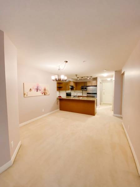 Beautiful and spacious 1 bedroom + den in Brentwood (Burnaby)