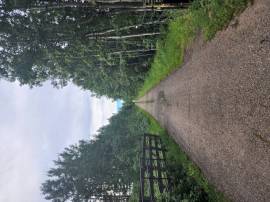 Beautiful Lake Front Acreage on Northside of Sylvan Lake PETS OK