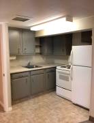 Quiet 1 Bedroom basement apartment Elmwood area, Moncton