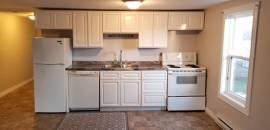 1 bedroom plus den/spare room apt w/dishwasher, AVAIL NOW $1100
