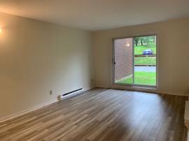 Renovated 1 bedroom for Rent at 1108 Woodstock Road for Sept