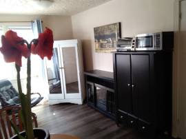 Spacious Sunny Furnished Suite