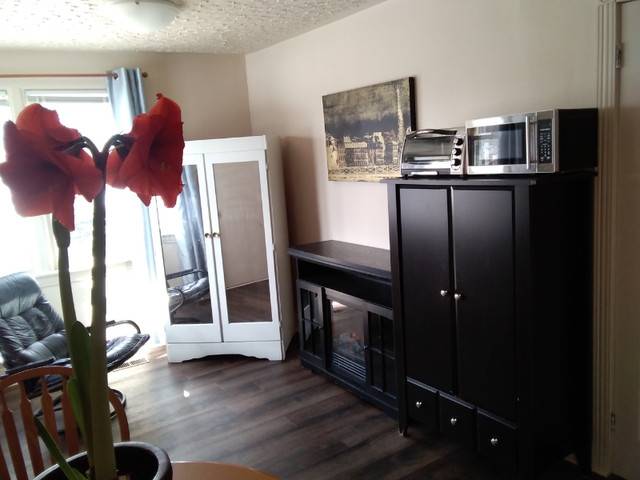 Spacious Sunny Furnished Suite