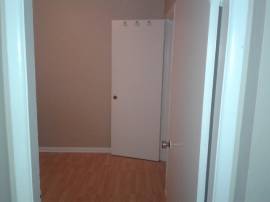 Room for Rent/Apartment Share
