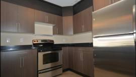 Apartment (shared with roommate) available