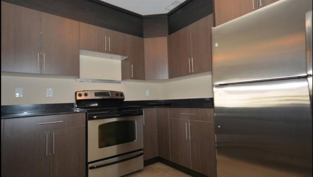 Apartment (shared with roommate) available