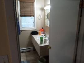 Looking  for roommate