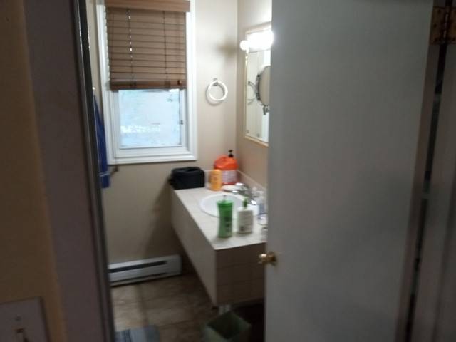 Looking for roommate