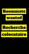 Roommate wanted/ Colocataire recherché (e)
