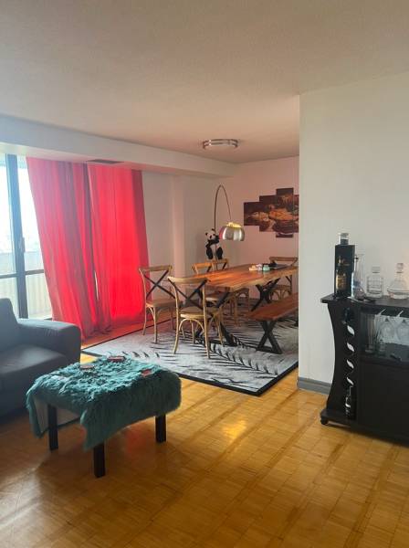Looking for a Roommate