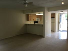 Spacious Bright Main Floor Two Bedroom In Collingwood