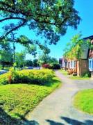 Long Term_ Furnished Bedroom for Rent in a Townhouse_ nov 1st_ $