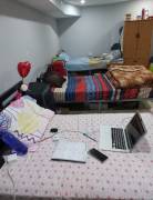 Sharing room available for one in Brampton.