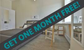 The Sterling Window Lofts - 1 Bedroom (06 Layout) Apartment for