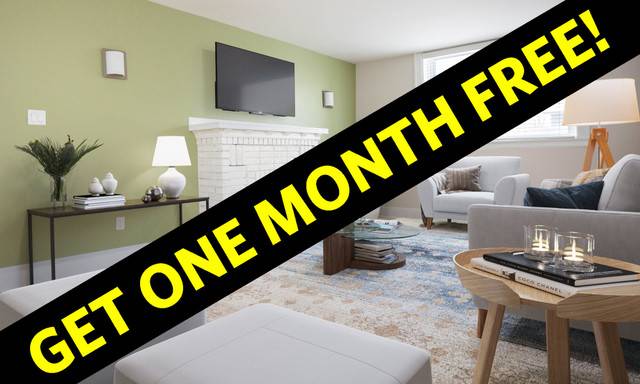 61 Furby Street - 1 Bedroom Apartment for Rent