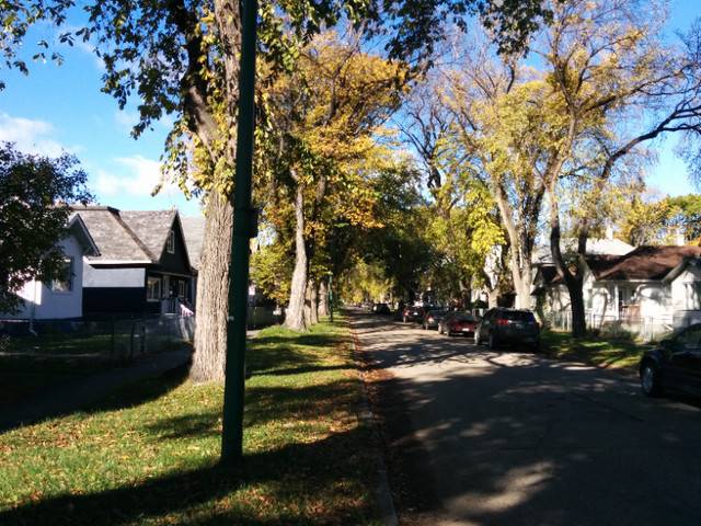 Large, 3 Bedroom, Single Family House for Rent. Boyd Ave.