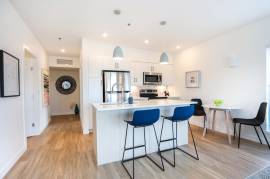 20 Walker Court – New, Modern, Bright Suite – 1.5 Bed 1 Bath