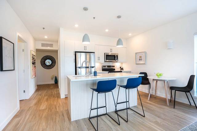 20 Walker Court – New, Modern, Bright Suite – 1.5 Bed 1 Bath