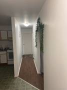 Room available for rent in two bedroom apartment